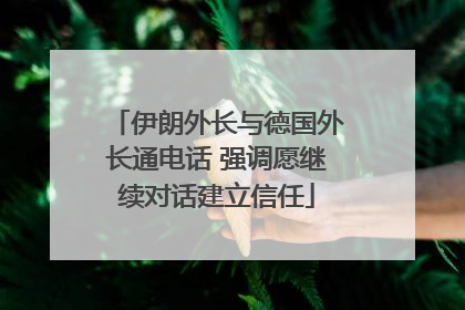 伊朗外长与德国外长通电话 强调愿继续对话建立信任