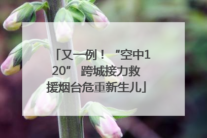 又一例！“空中120” 跨城接力救援烟台危重新生儿