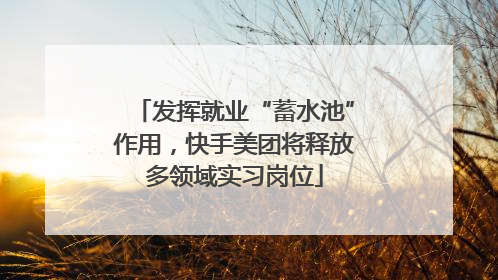 发挥就业“蓄水池”作用，快手美团将释放多领域实习岗位