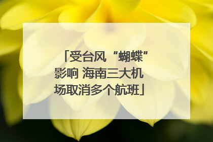 受台风“蝴蝶”影响 海南三大机场取消多个航班