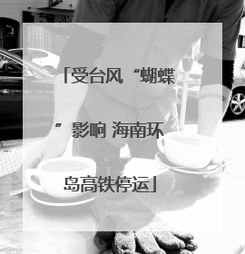 受台风“蝴蝶”影响 海南环岛高铁停运