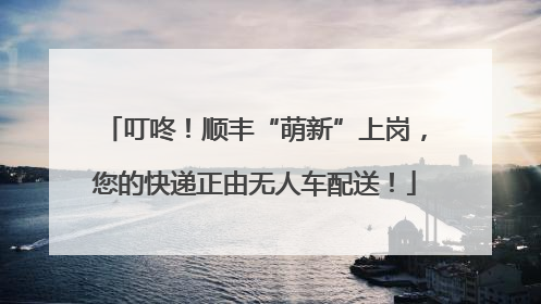 叮咚！顺丰“萌新”上岗，您的快递正由无人车配送！