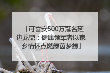 可喜安500万冠名延边龙鼎：健康领军者以家乡情怀点燃绿茵梦想
