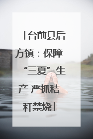 台前县后方镇：保障“三夏”生产 严抓秸秆禁烧