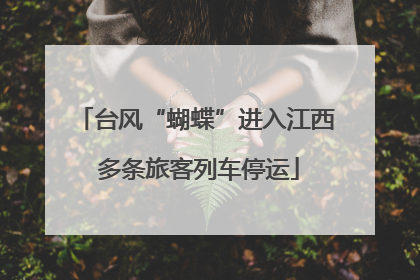 台风“蝴蝶”进入江西 多条旅客列车停运