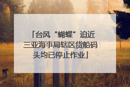台风“蝴蝶”迫近 三亚海事局辖区货船码头均已停止作业