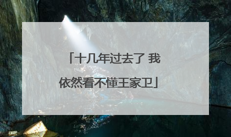 十几年过去了 我依然看不懂王家卫
