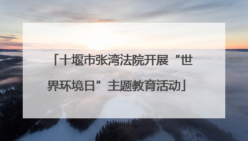 十堰市张湾法院开展“世界环境日”主题教育活动