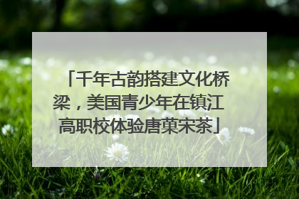 千年古韵搭建文化桥梁，美国青少年在镇江高职校体验唐菓宋茶
