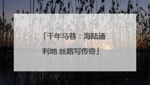 千年马巷：海陆通利地 丝路写传奇