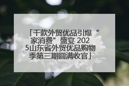 千款外贸优品引爆“家消费”盛宴 2025山东省外贸优品购物季第三期圆满收官