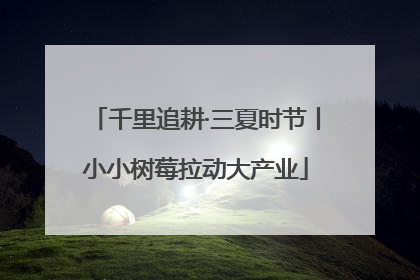 千里追耕·三夏时节丨小小树莓拉动大产业