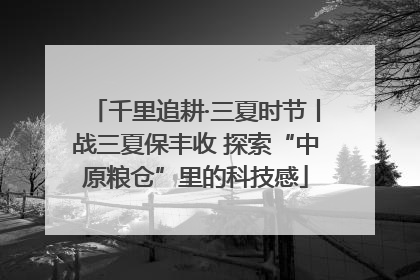 千里追耕·三夏时节丨战三夏保丰收 探索“中原粮仓”里的科技感