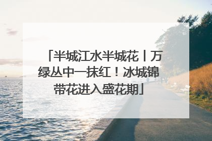 半城江水半城花丨万绿丛中一抹红！冰城锦带花进入盛花期