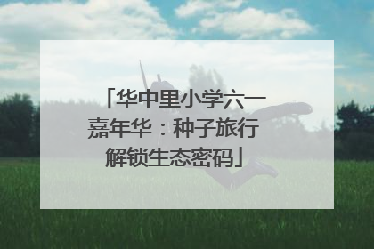华中里小学六一嘉年华：种子旅行解锁生态密码