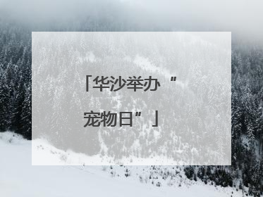 华沙举办“宠物日”