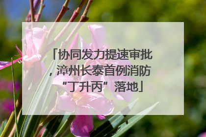 协同发力提速审批，漳州长泰首例消防“丁升丙”落地