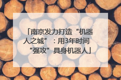 南京发力打造“机器人之城”：用3年时间“强攻”具身机器人