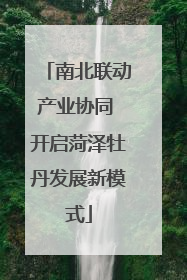 南北联动产业协同 开启菏泽牡丹发展新模式