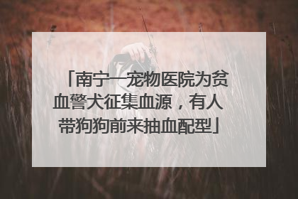 南宁一宠物医院为贫血警犬征集血源，有人带狗狗前来抽血配型