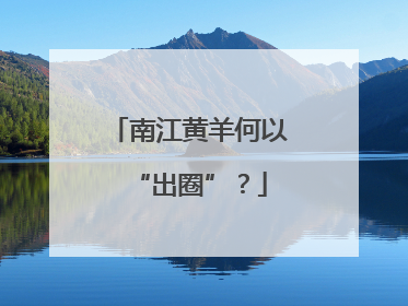 南江黄羊何以“出圈”？