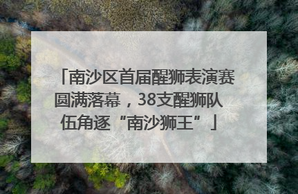 南沙区首届醒狮表演赛圆满落幕，38支醒狮队伍角逐“南沙狮王”