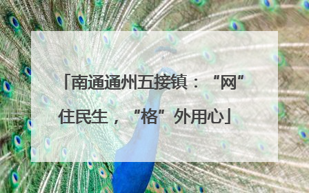 南通通州五接镇：“网”住民生，“格”外用心
