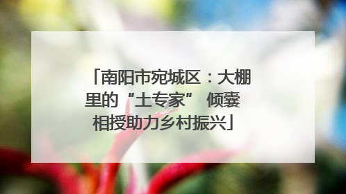 南阳市宛城区：大棚里的“土专家” 倾囊相授助力乡村振兴