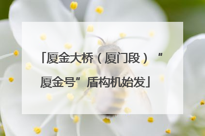 厦金大桥（厦门段）“厦金号”盾构机始发