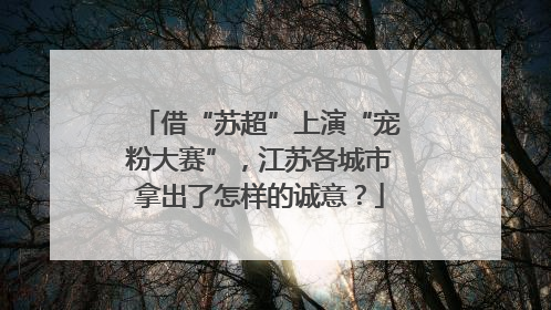 借“苏超”上演“宠粉大赛”，江苏各城市拿出了怎样的诚意？