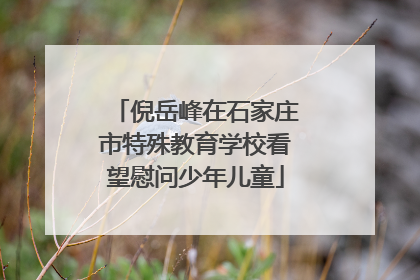 倪岳峰在石家庄市特殊教育学校看望慰问少年儿童