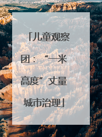 儿童观察团：“一米高度”丈量城市治理