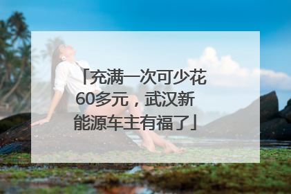 充满一次可少花60多元，武汉新能源车主有福了