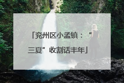 兖州区小孟镇：“三夏”收割话丰年