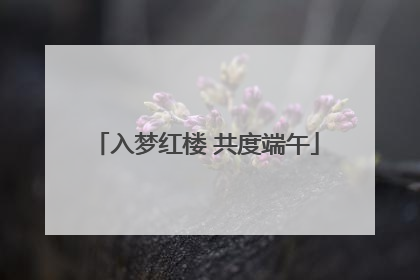 入梦红楼 共度端午