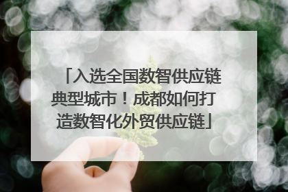 入选全国数智供应链典型城市！成都如何打造数智化外贸供应链