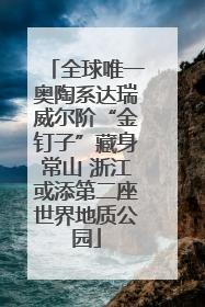 全球唯一奥陶系达瑞威尔阶“金钉子”藏身常山 浙江或添第二座世界地质公园