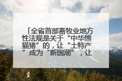 全省首部畜牧业地方性法规是关于“中华熊猫猪”的，让“土特产”成为“新国潮”，让“农产品”升格为“城市IP”