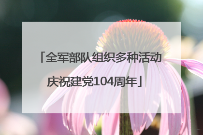 全军部队组织多种活动庆祝建党104周年