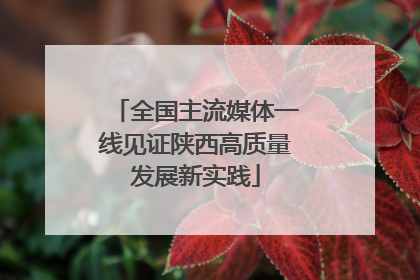 全国主流媒体一线见证陕西高质量发展新实践
