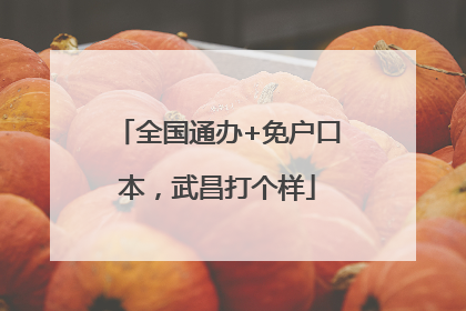 全国通办+免户口本，武昌打个样