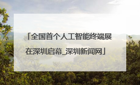 全国首个人工智能终端展在深圳启幕_深圳新闻网