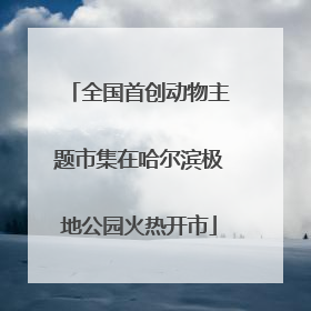 全国首创动物主题市集在哈尔滨极地公园火热开市