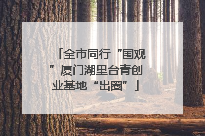 全市同行“围观”厦门湖里台青创业基地“出圈”