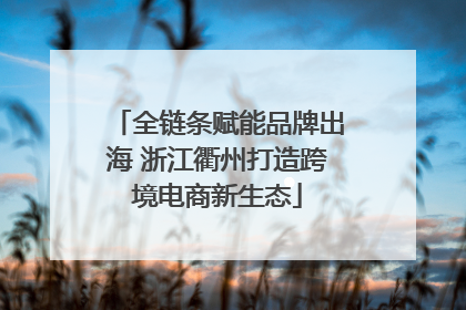 全链条赋能品牌出海 浙江衢州打造跨境电商新生态