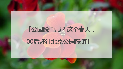 公园脱单局？这个春天，00后赶往北京公园联谊