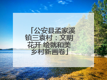 公安县孟家溪镇三袁村：文明花开 绘就和美乡村新画卷