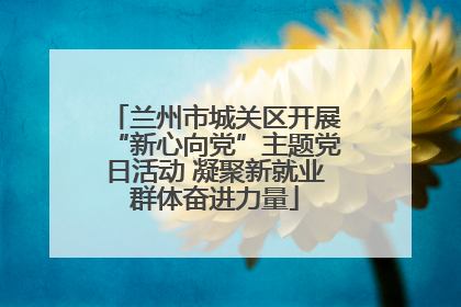 兰州市城关区开展“新心向党”主题党日活动 凝聚新就业群体奋进力量