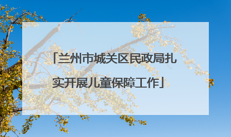 兰州市城关区民政局扎实开展儿童保障工作