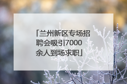 兰州新区专场招聘会吸引7000余人到场求职